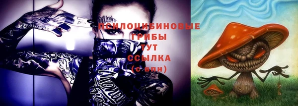 трава Абаза